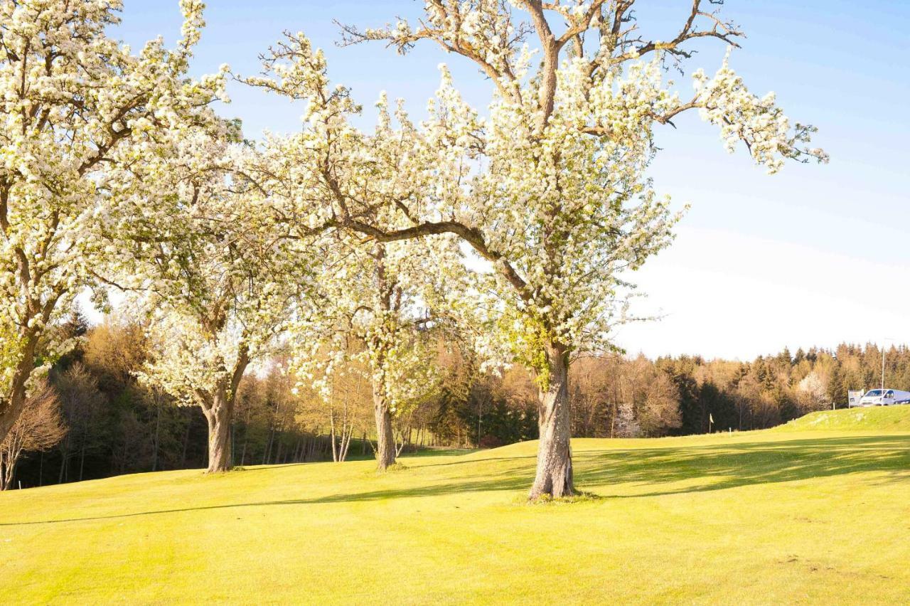 Topfit-Freizeitpark Hotel Freinberg Buitenkant foto